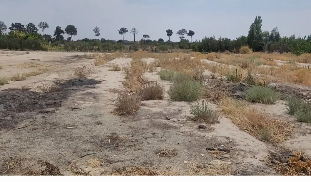 زمین ۱۰۰۷ متری فیروز بهرام