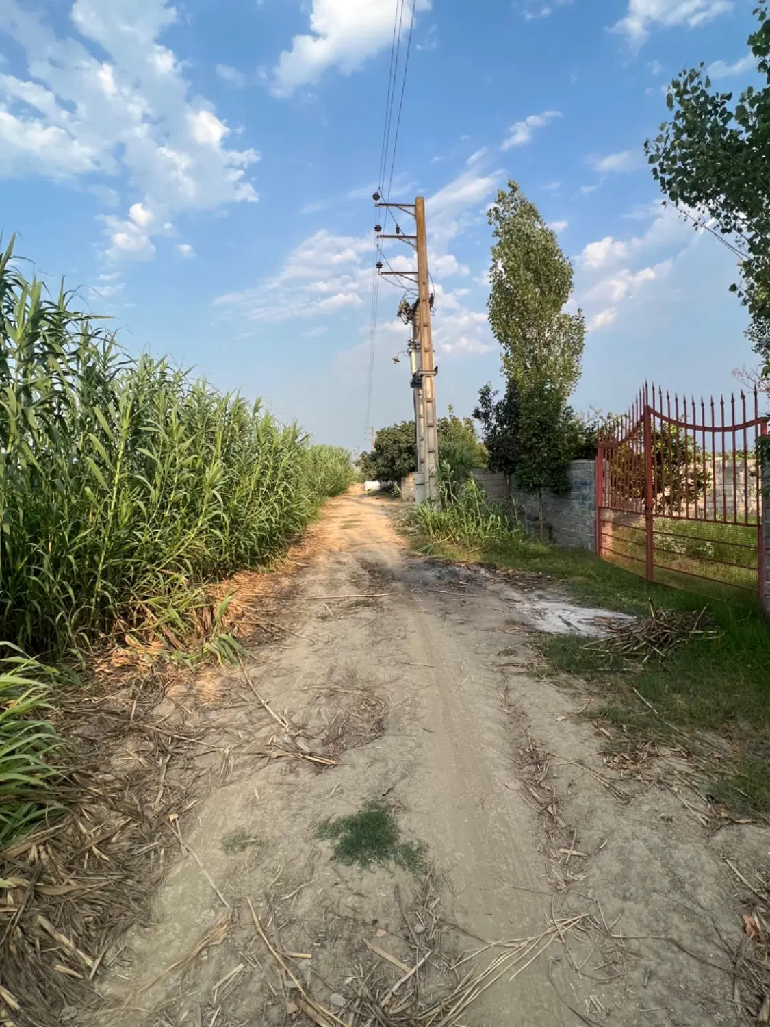 فروش باغ ۲۴۰۰ متری محصور با کنتور برق و چاه آب