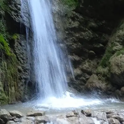 آب ملکی دیزج