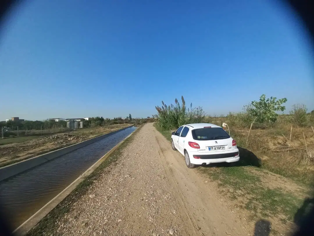 باغ نارنگی ژاپنی ۹ ساله