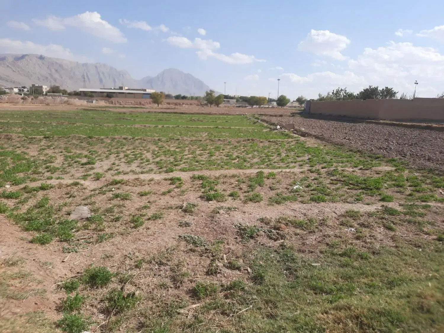 فروش زمین کشاورزی