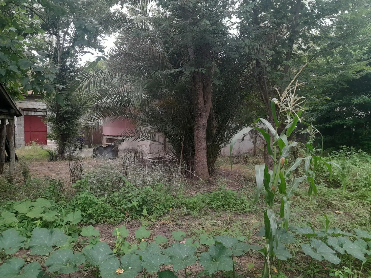 خانه  قدیمی سند دار ۷۴۰ متر