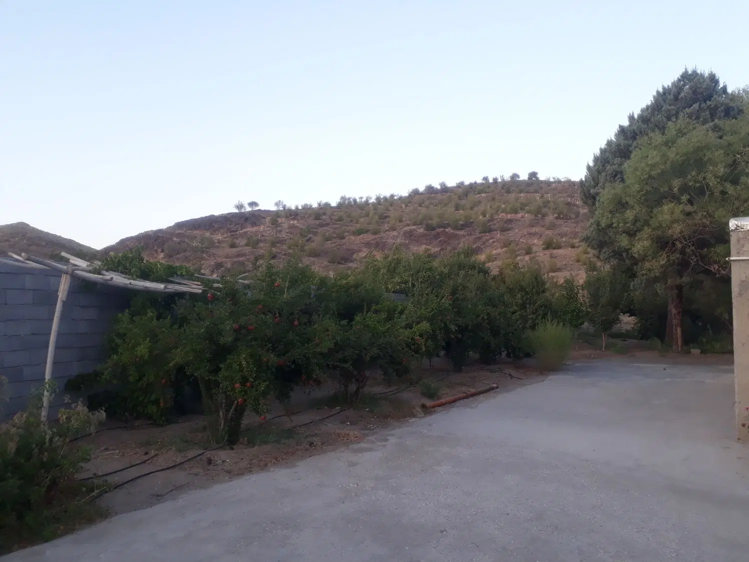 زمین و باغ ویلایی