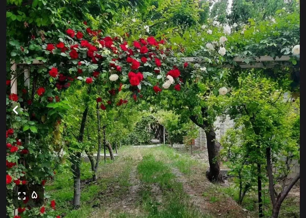 ۹۰۰ متر ملارد ویلای شمالی