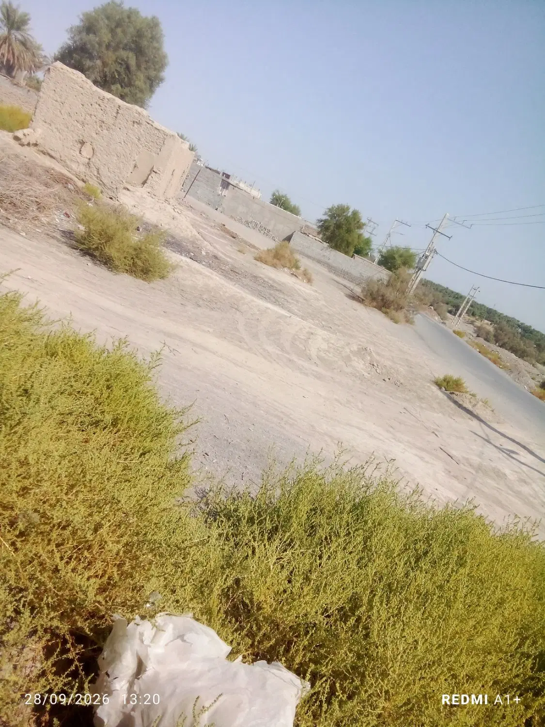 زمین