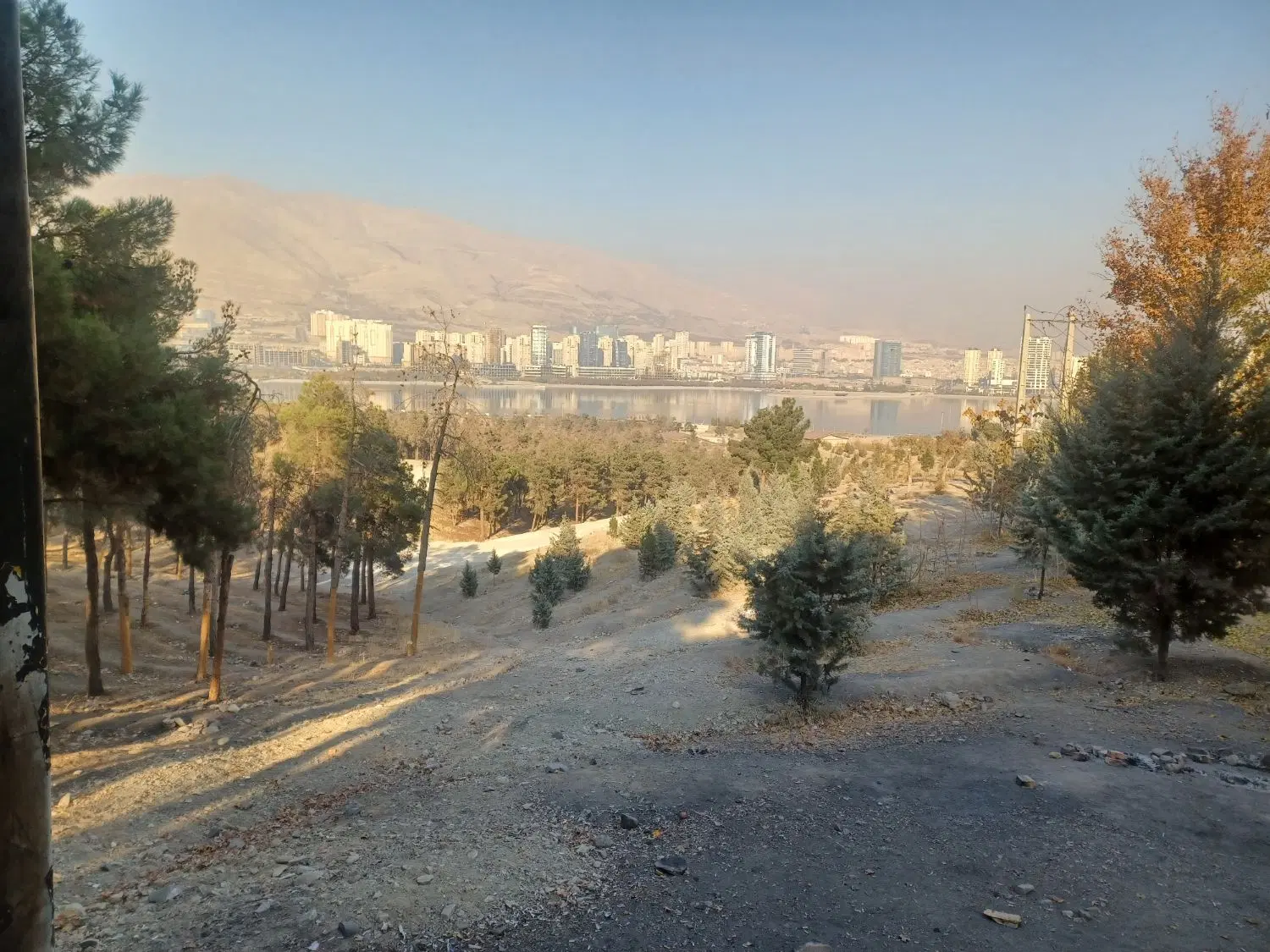 اجاره واحد مسکونی