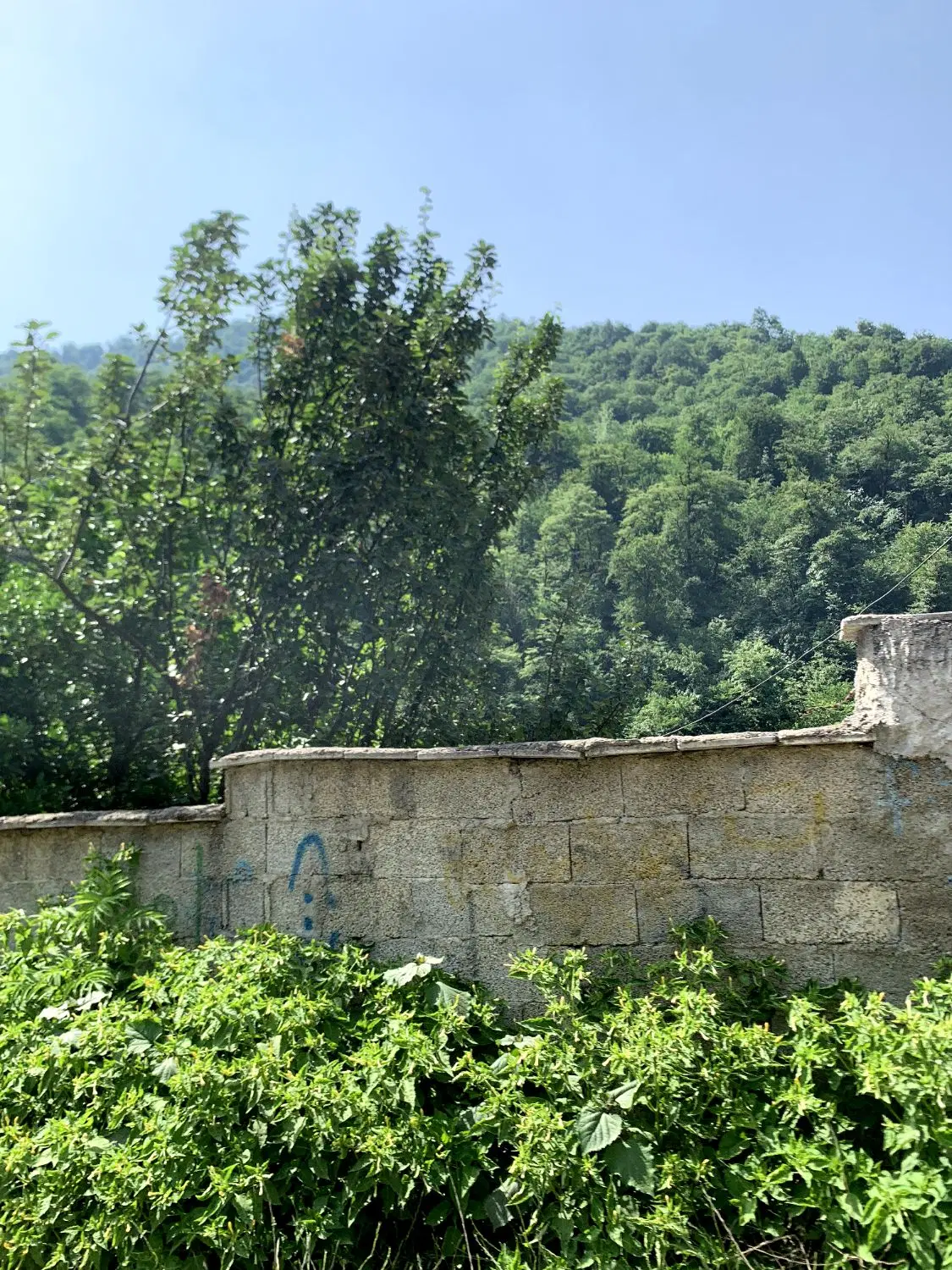 ویلا مجانی