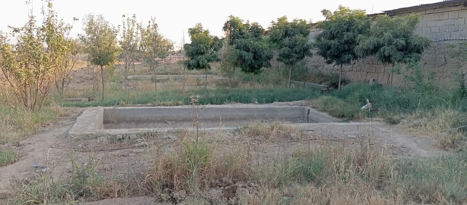 باغچه