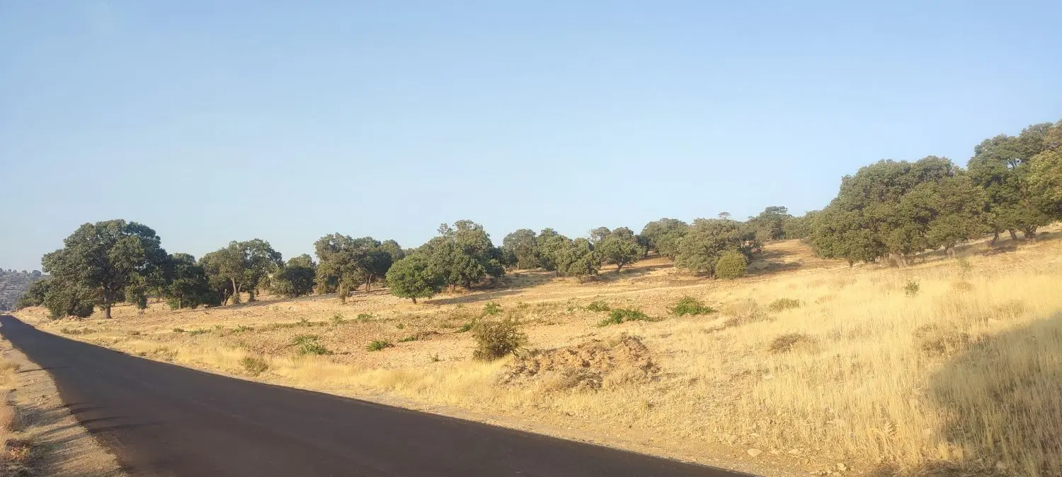 فروش باغ (انگور.بادام)