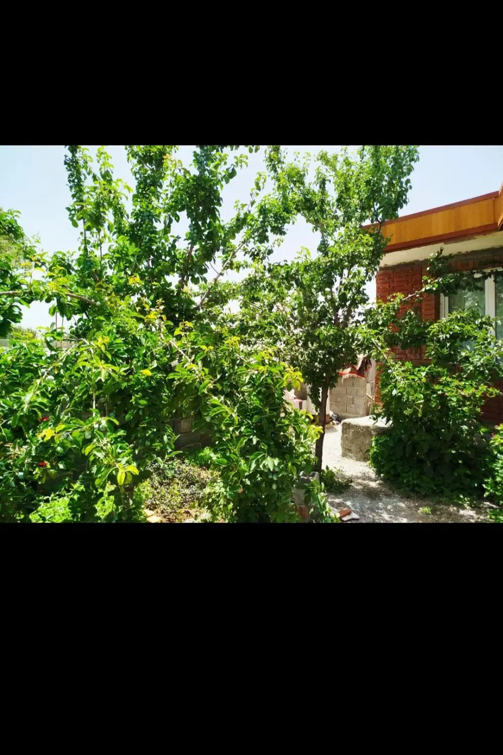 زمین مهریان خیابان مسجد
