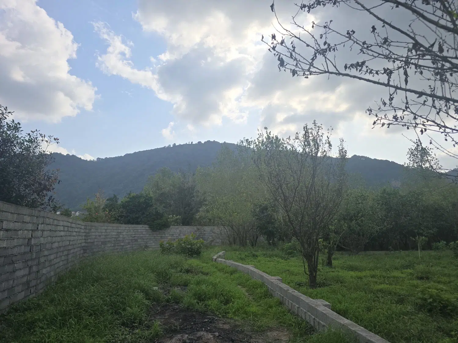 ۴۰۰ متر لیالستان تمام مسکونی سند تک برگ