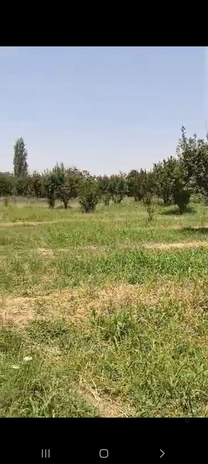 ۶۱۲ متر باغ خوشنام