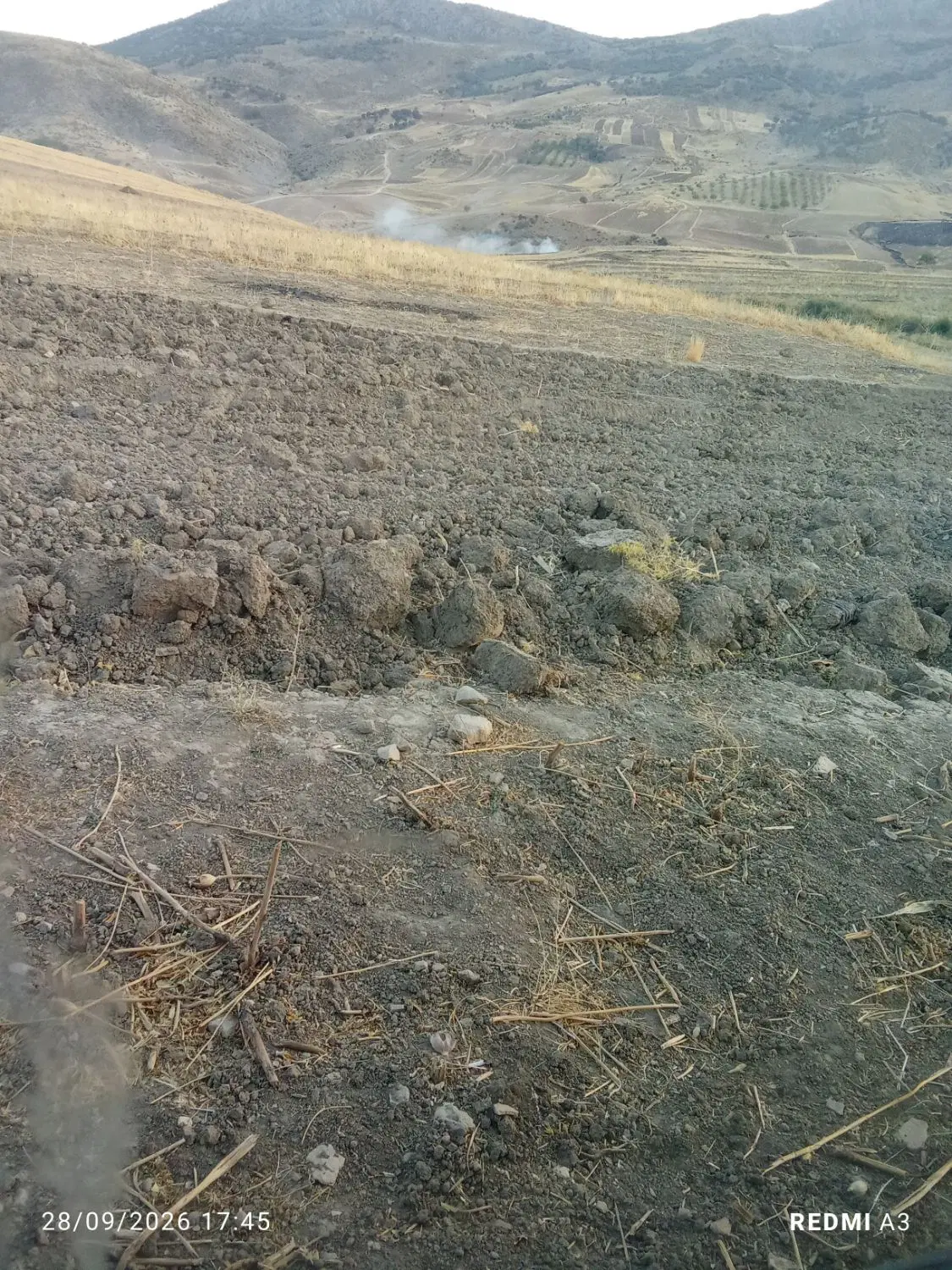 اجاره دادن زمین کشاورزی