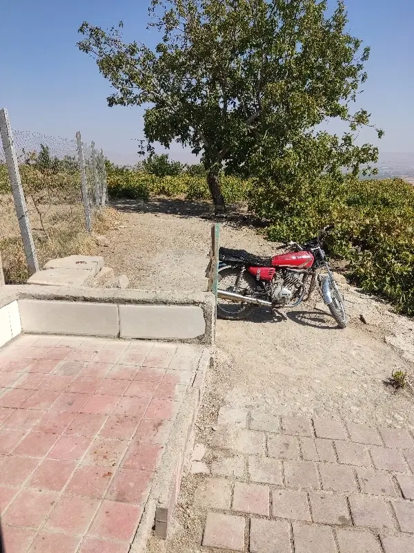 فروش باغ انگور