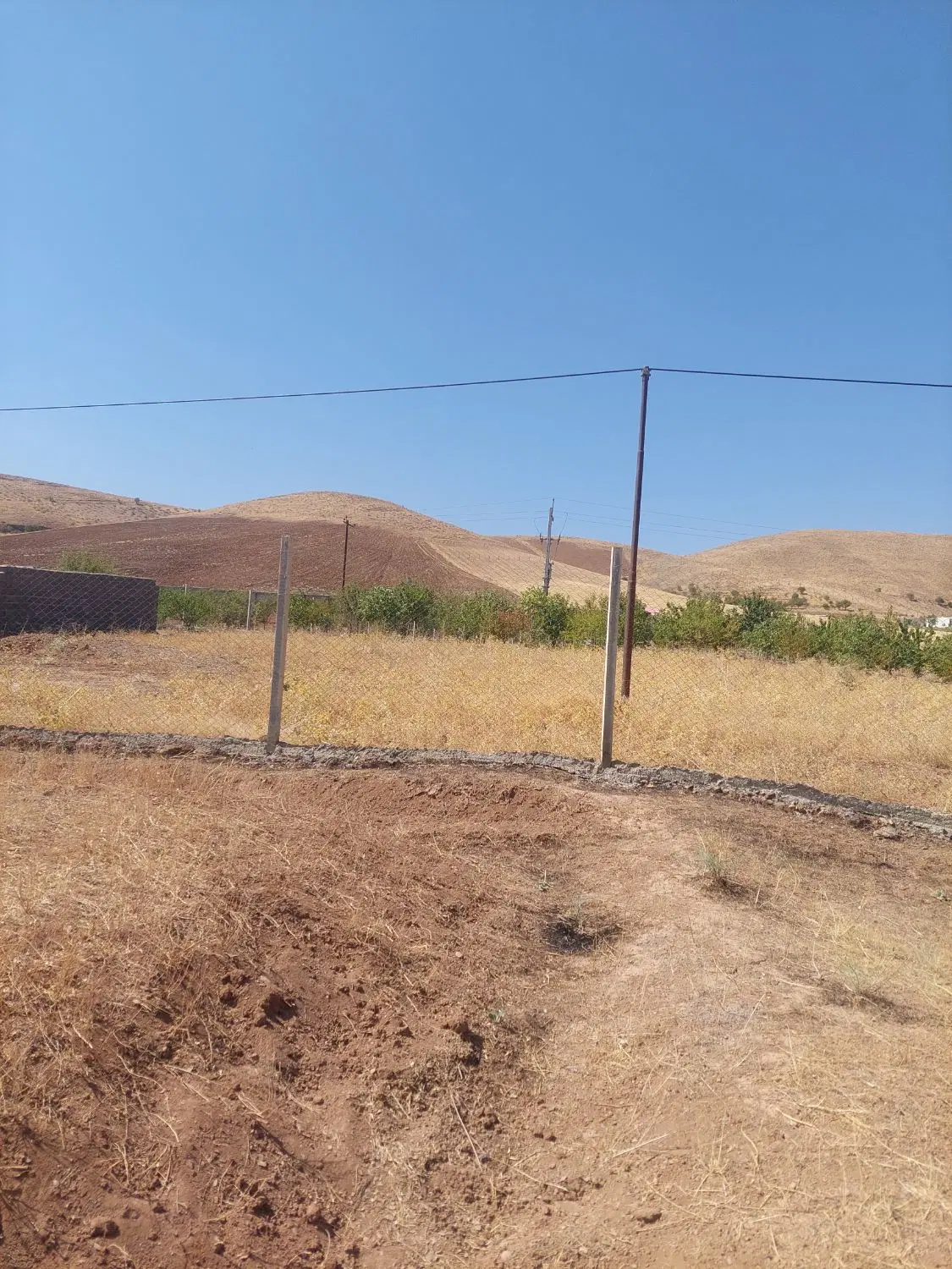 زمین کشاورزی باغی