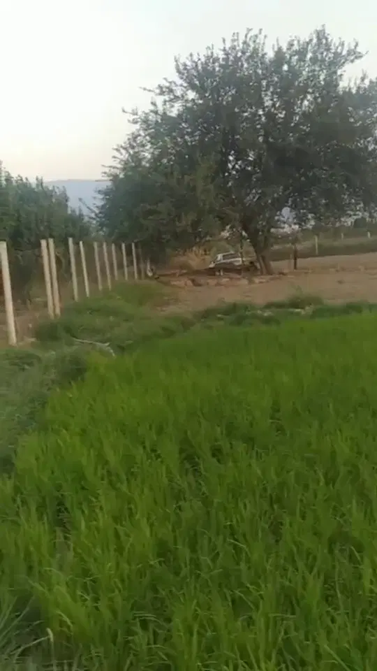 زمین کشاورزی ۲۰۰۰ متری، با چاه آب