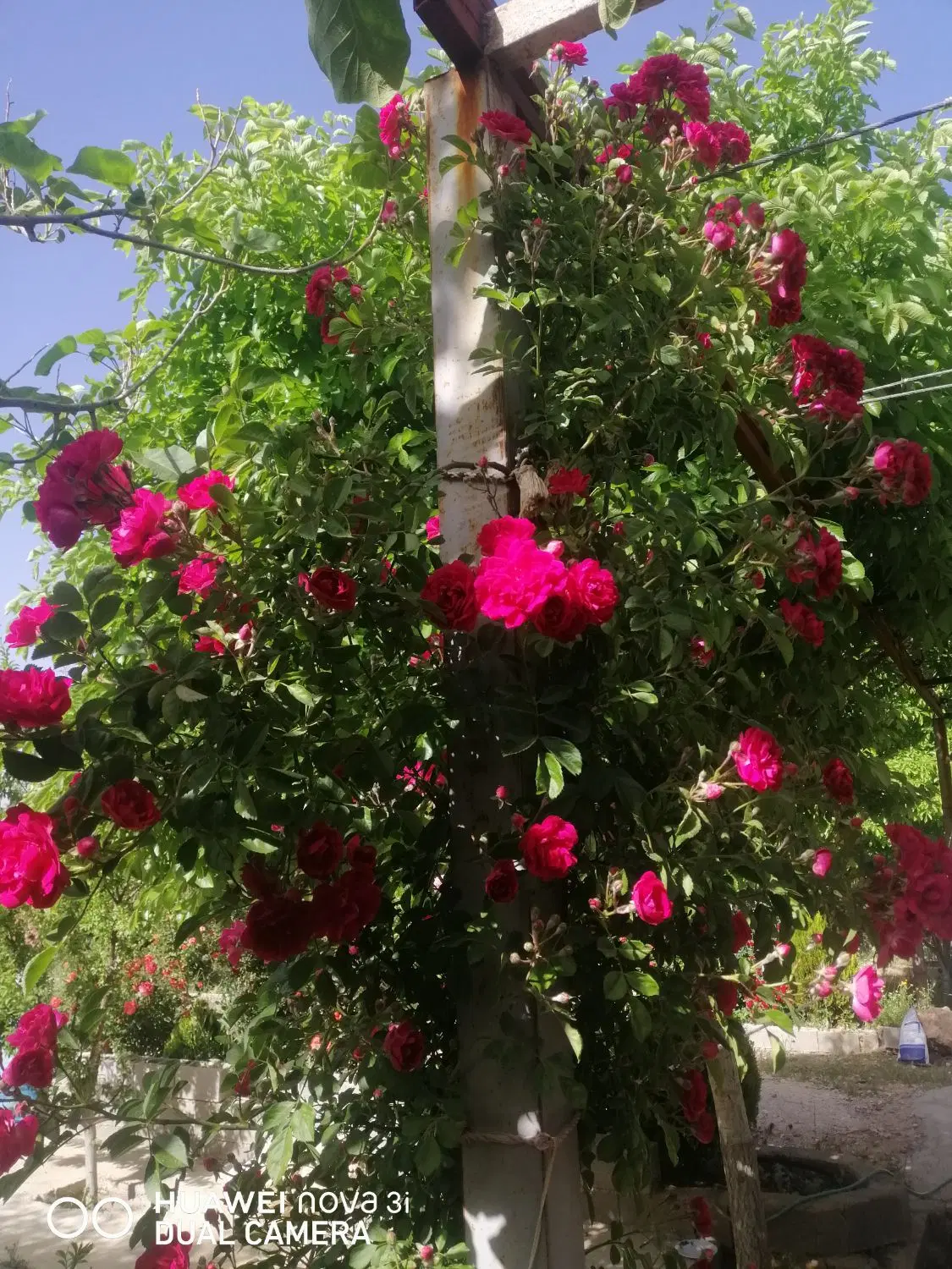 2400 متر ابتدای هماشهر سپیدان