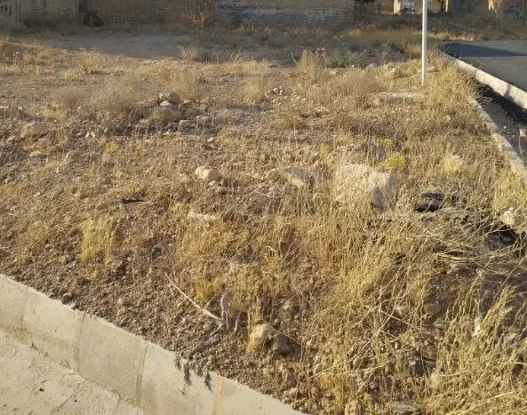 ۳۰۸ متر دو نبش _ سند تک‌برگ _ فاز ۲ صدرا