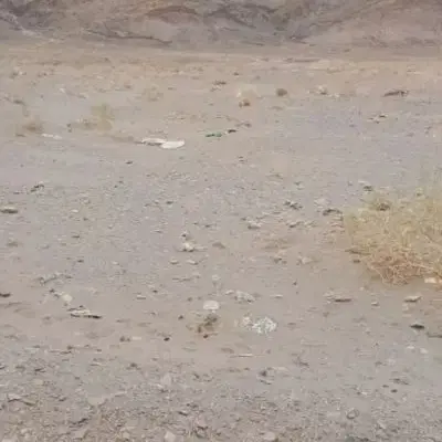 زمین فروشی شوگه