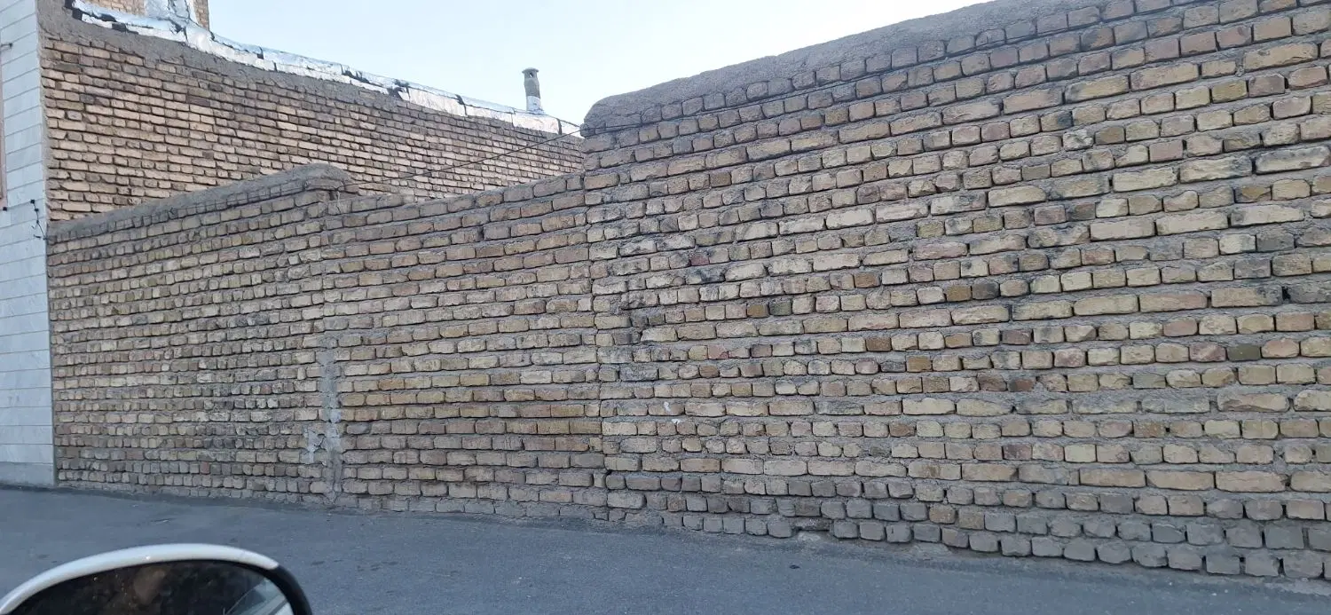 زمین نوبنیاد