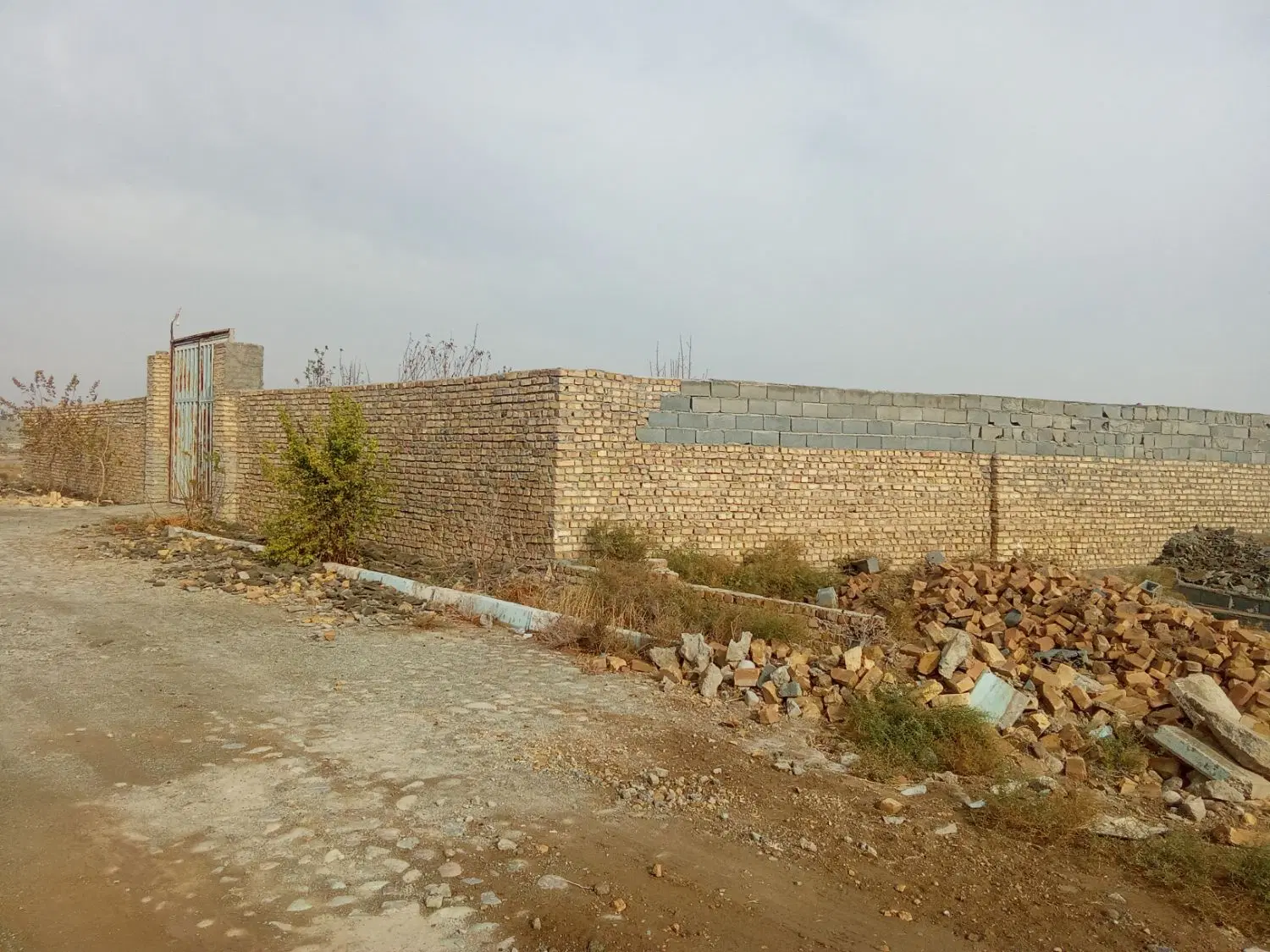 زمین باغ