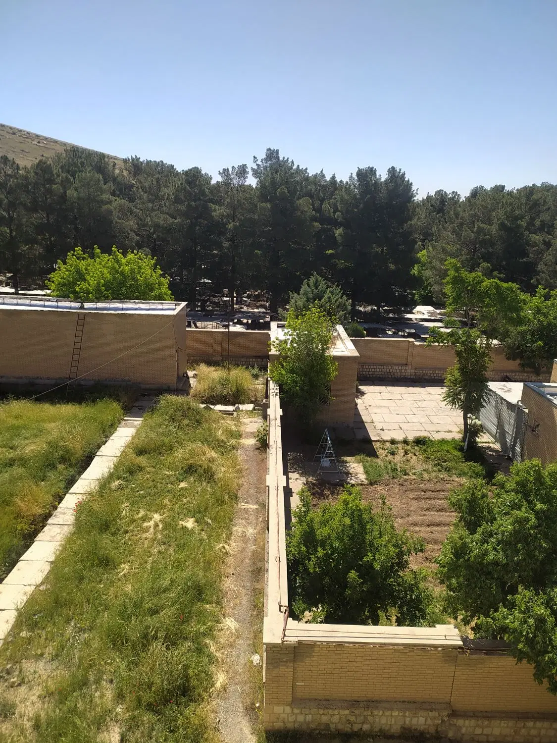 اجاره مسکن مهر شرف آباد