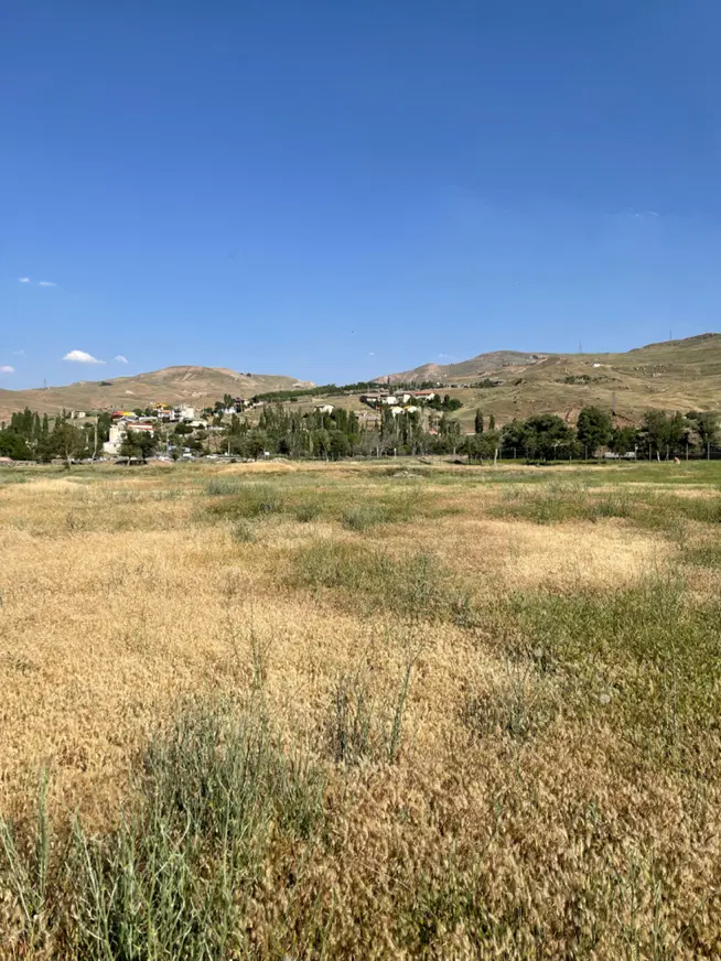 زمین ۲۲۵ متری واریان شهر رزکان