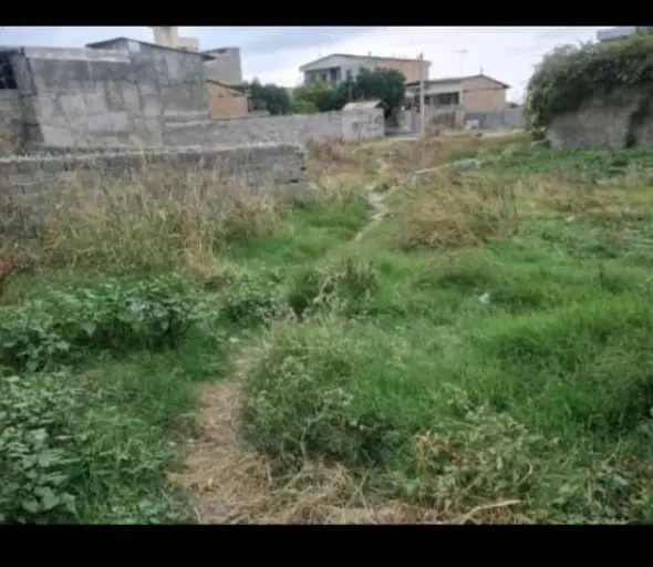 زمین ۲۴۳ متری