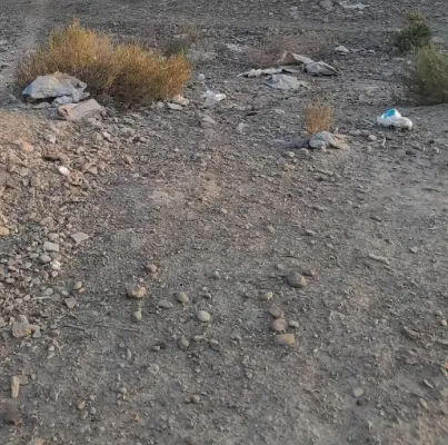 فروش زمین در روستای تیس