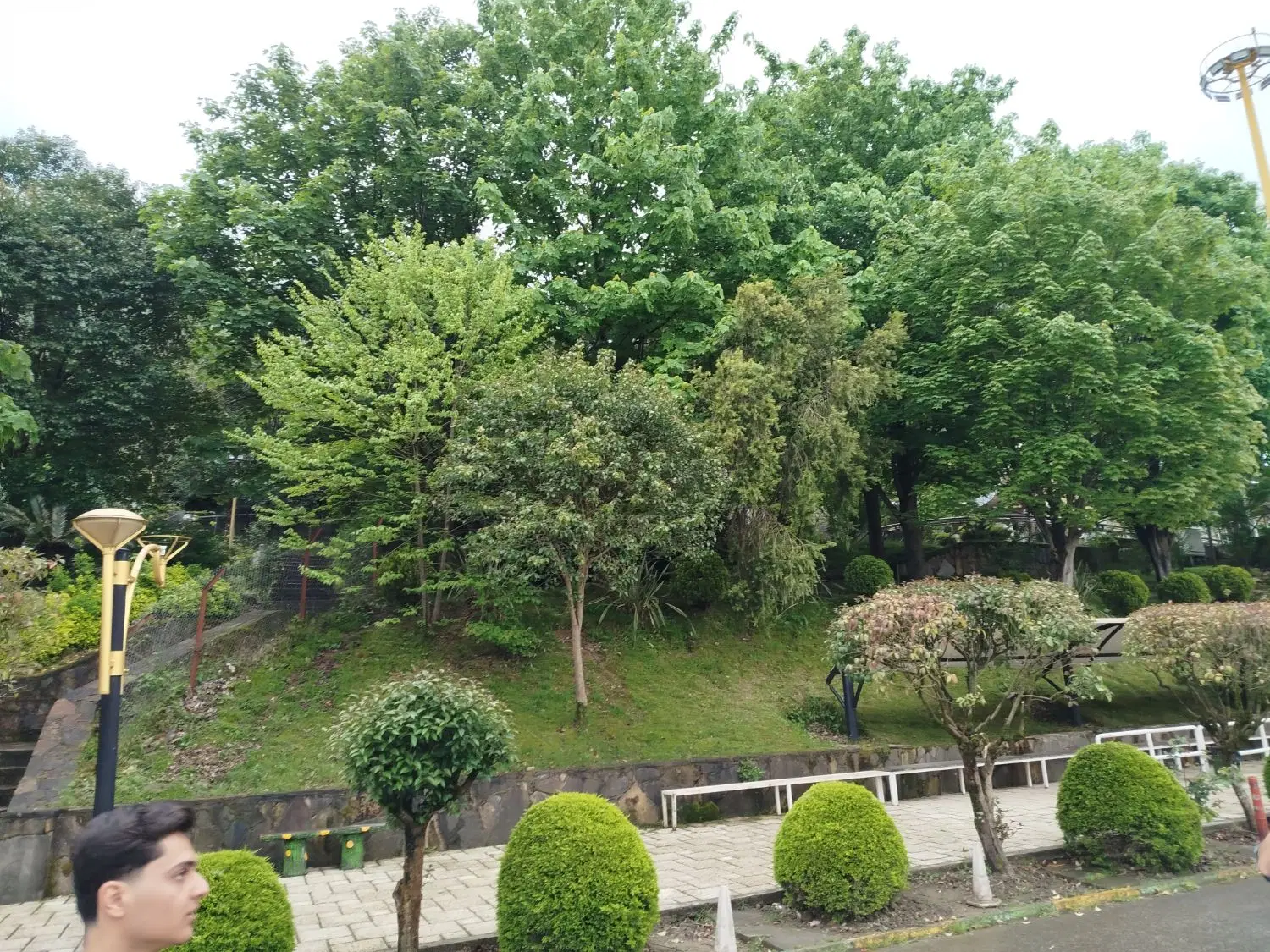 زمین باغسنگان سفلی
