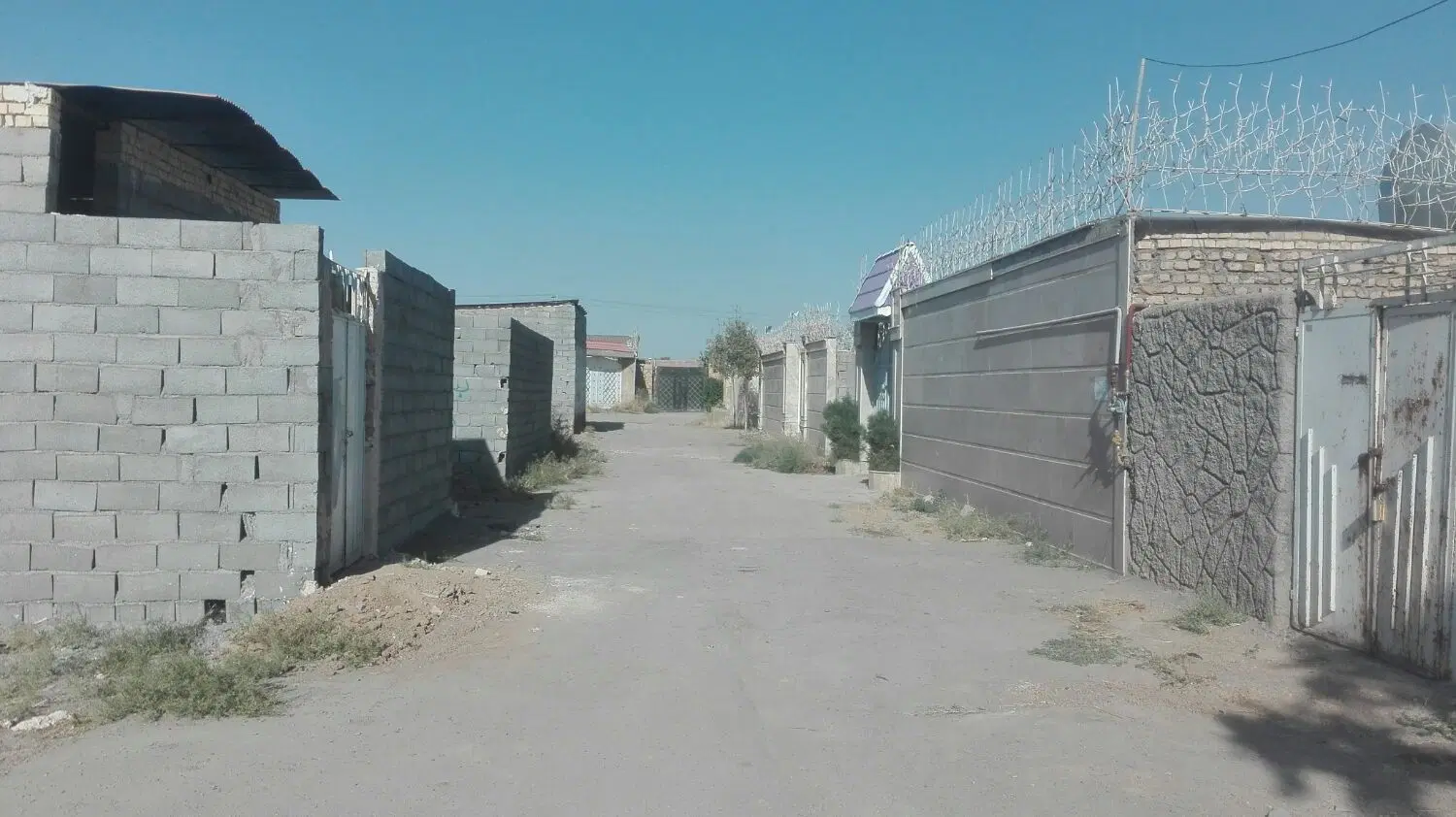 زمین دوردیوار.کلاکوب