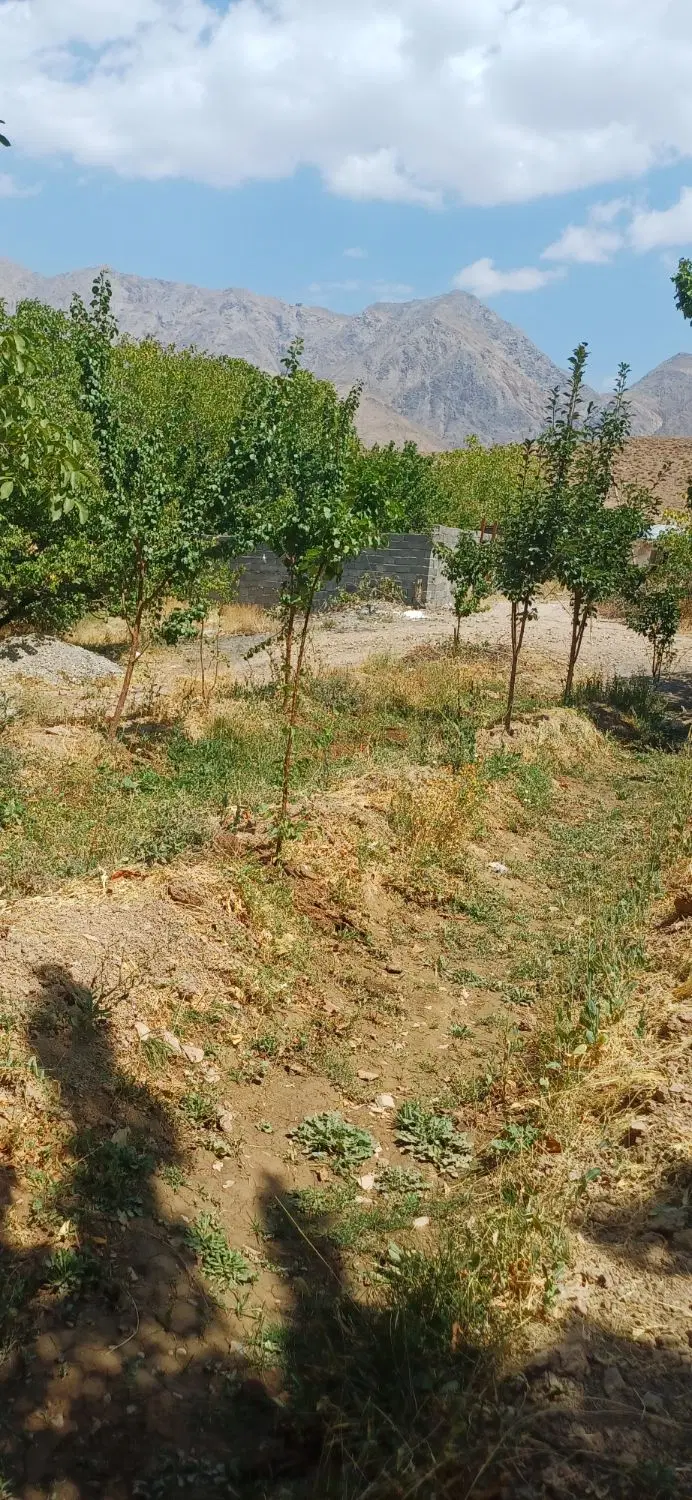 زمین فروشی