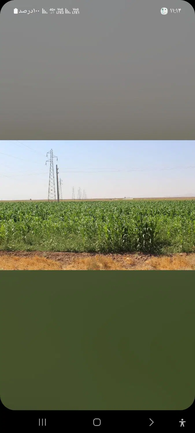 زمین بحر اتوبان