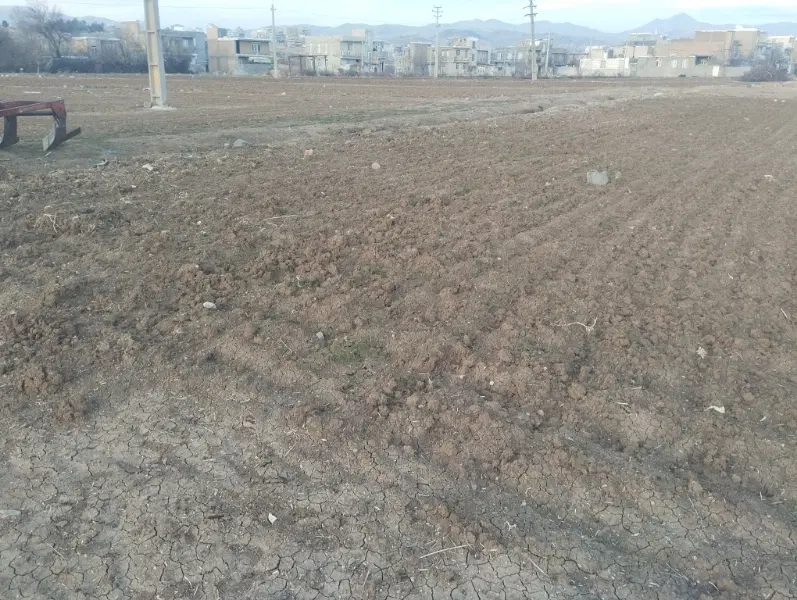 زمینهای کشاوری  و خام متعدر یک کیلومتری کامیاران