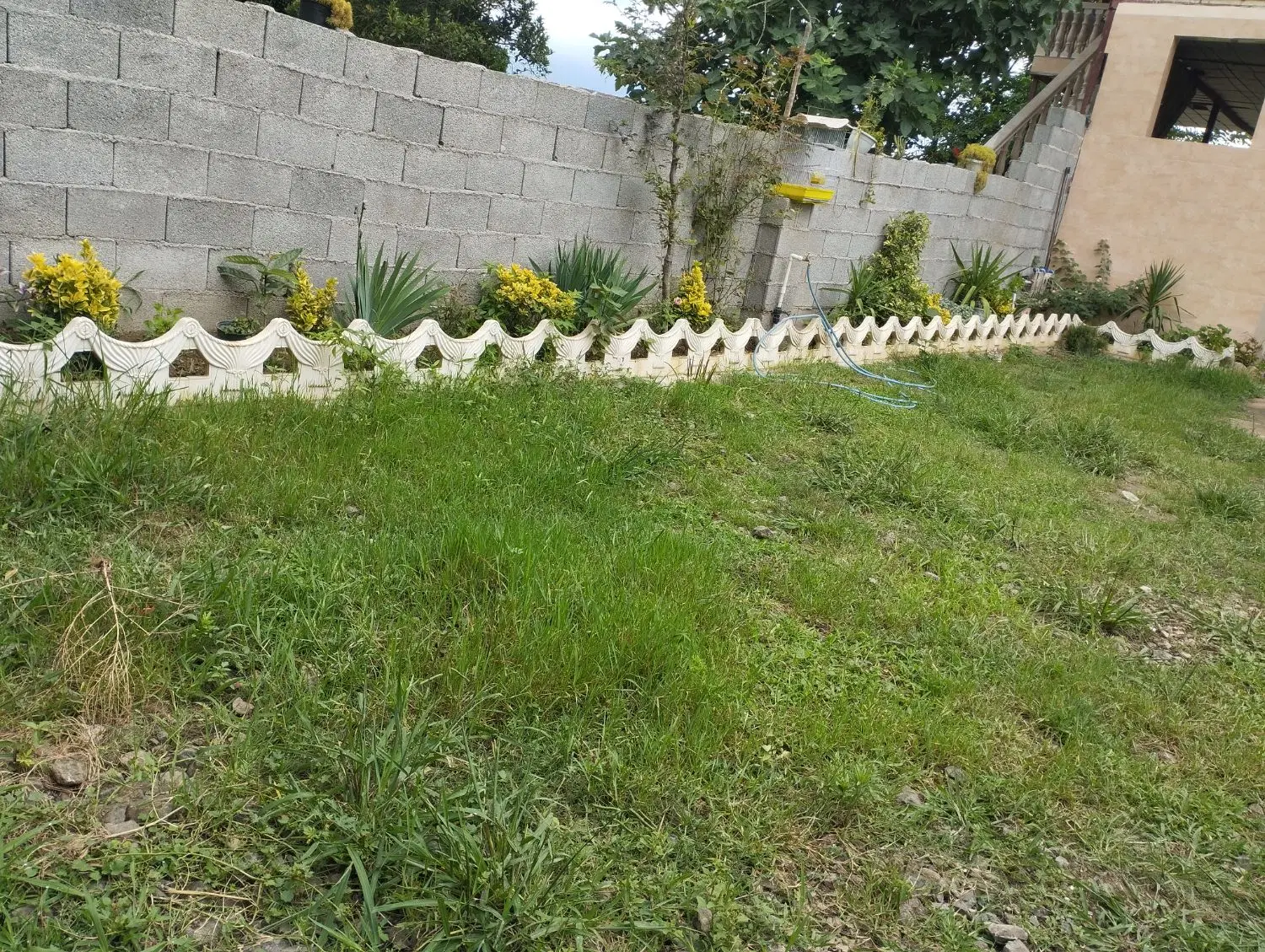 اجاره سالانه در تنیان ماسال