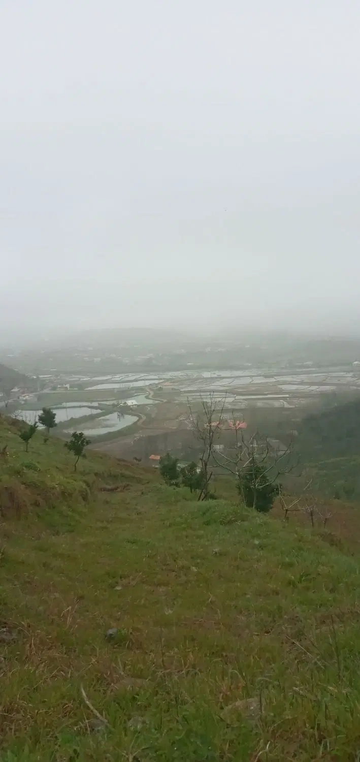 ۱۵هزارمترزمین باغی همراه باجاده
