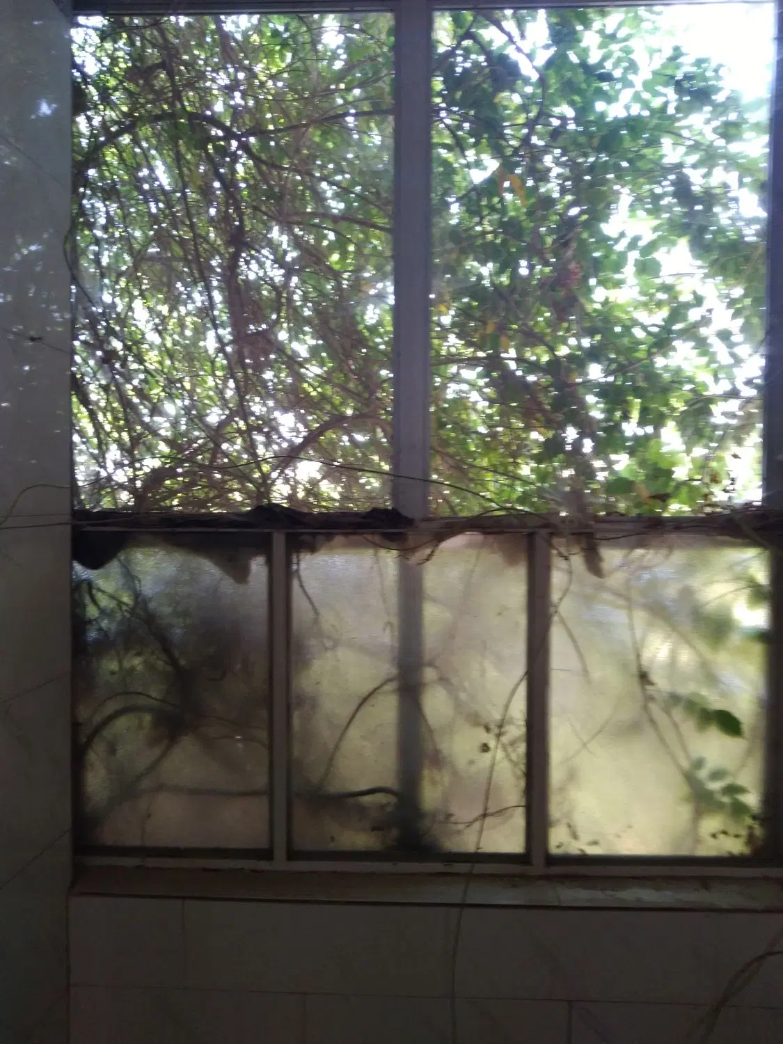 فروش مغازه تجاری