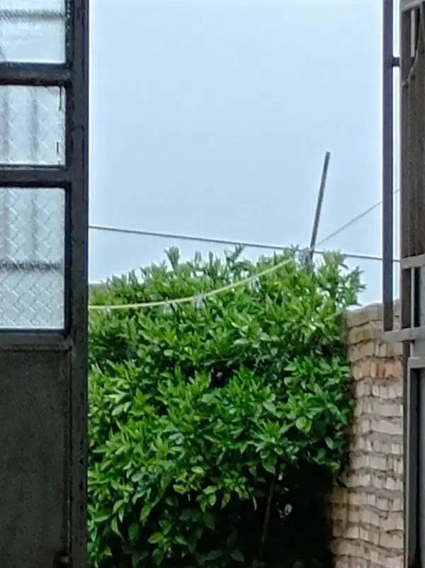 خانه همکف تمام اسکلت مورانی