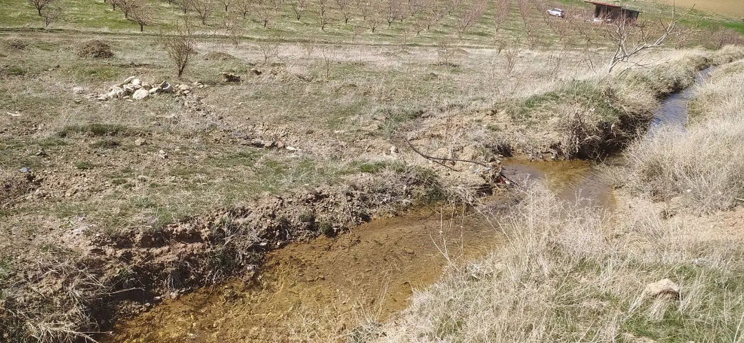 4300متر باغ داخل روستای یادآباد سفلی