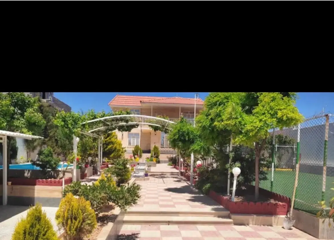 باغشهر گود گویم فروش زیتون افتاب