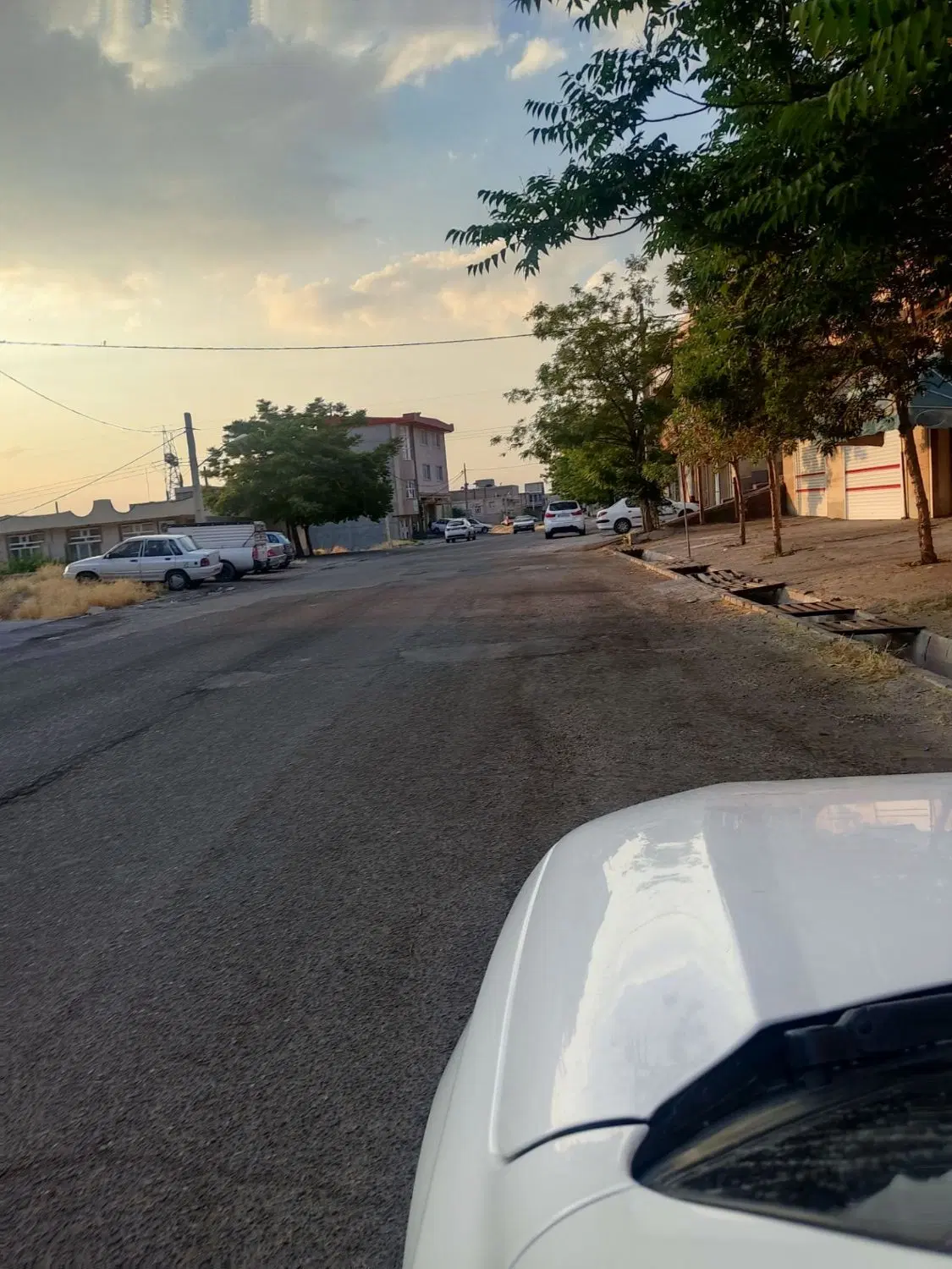 سرمایه گذاری زمین در شادباد مشایخ شاهگلی