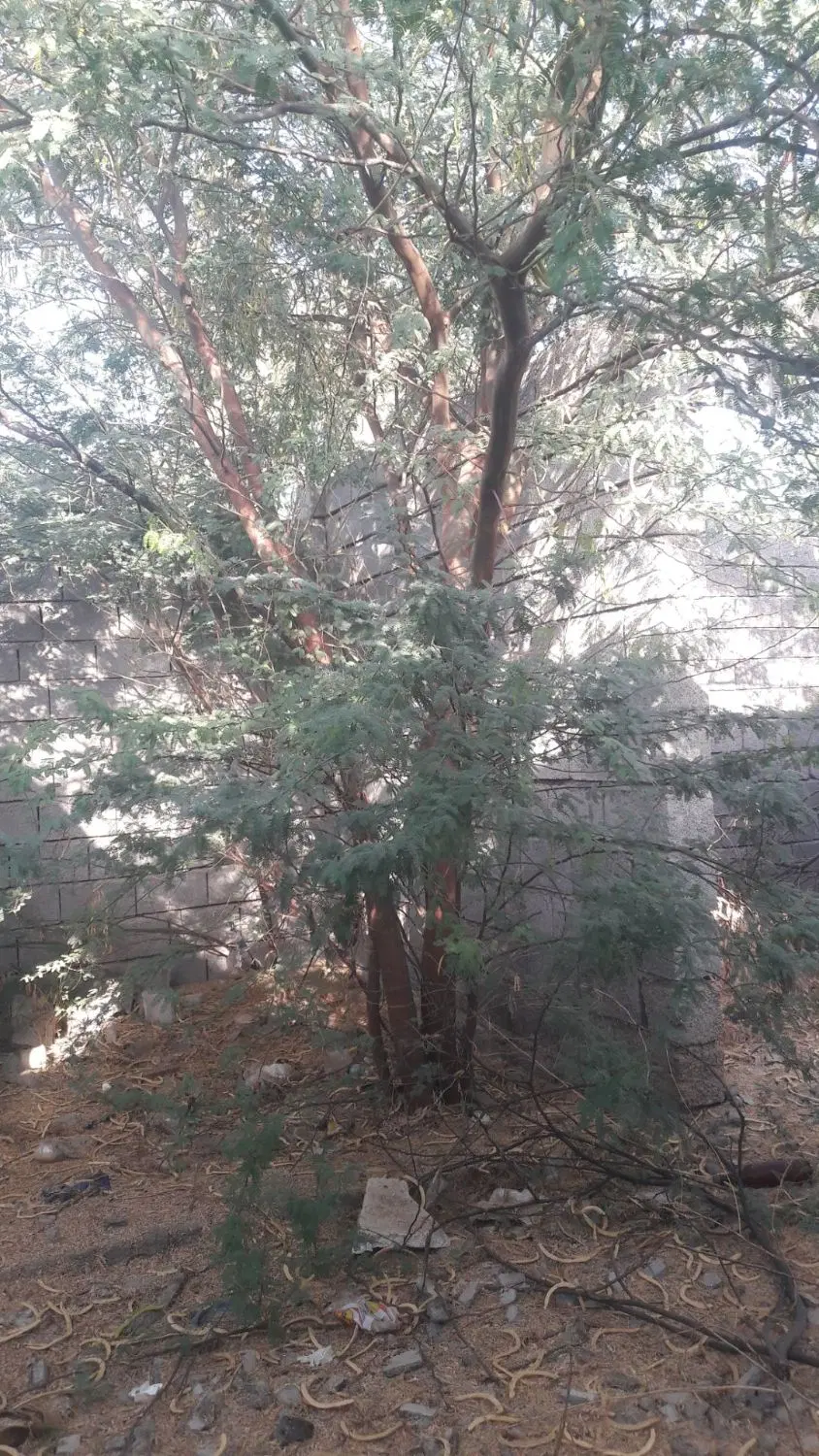خونه باغوفروش فوری