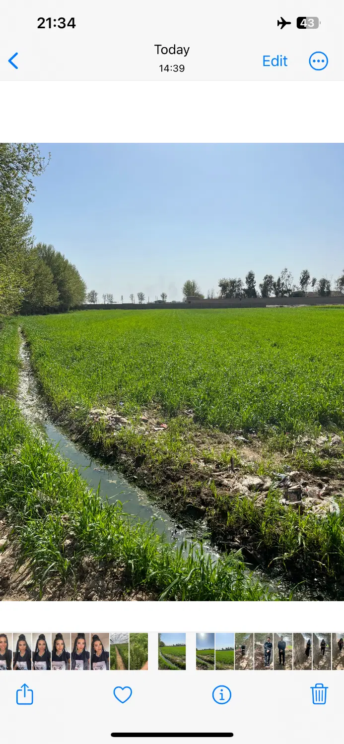اجاره ی گلخانه