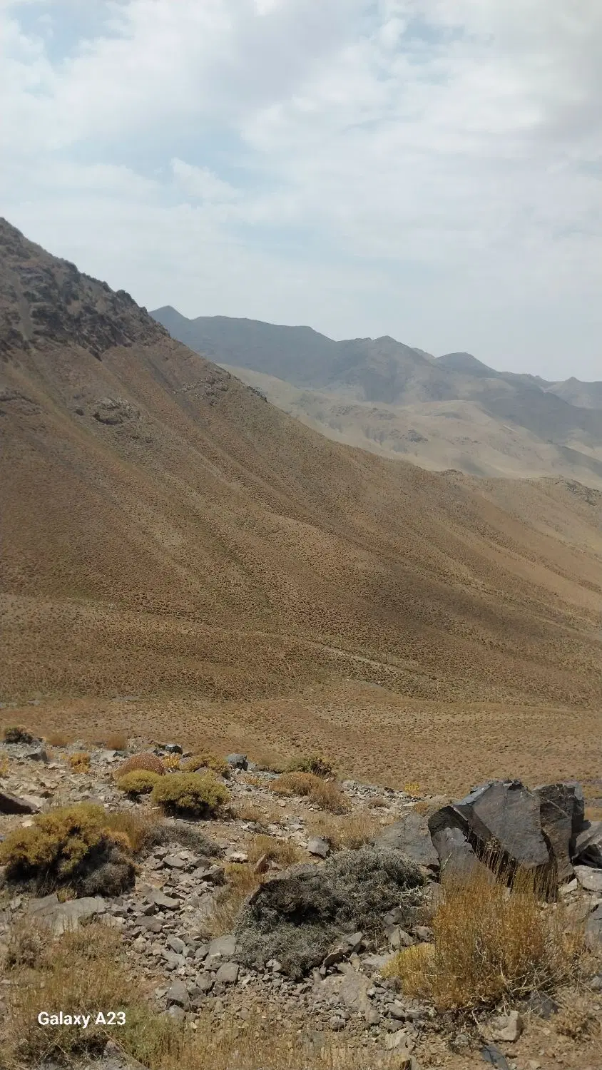 املاک