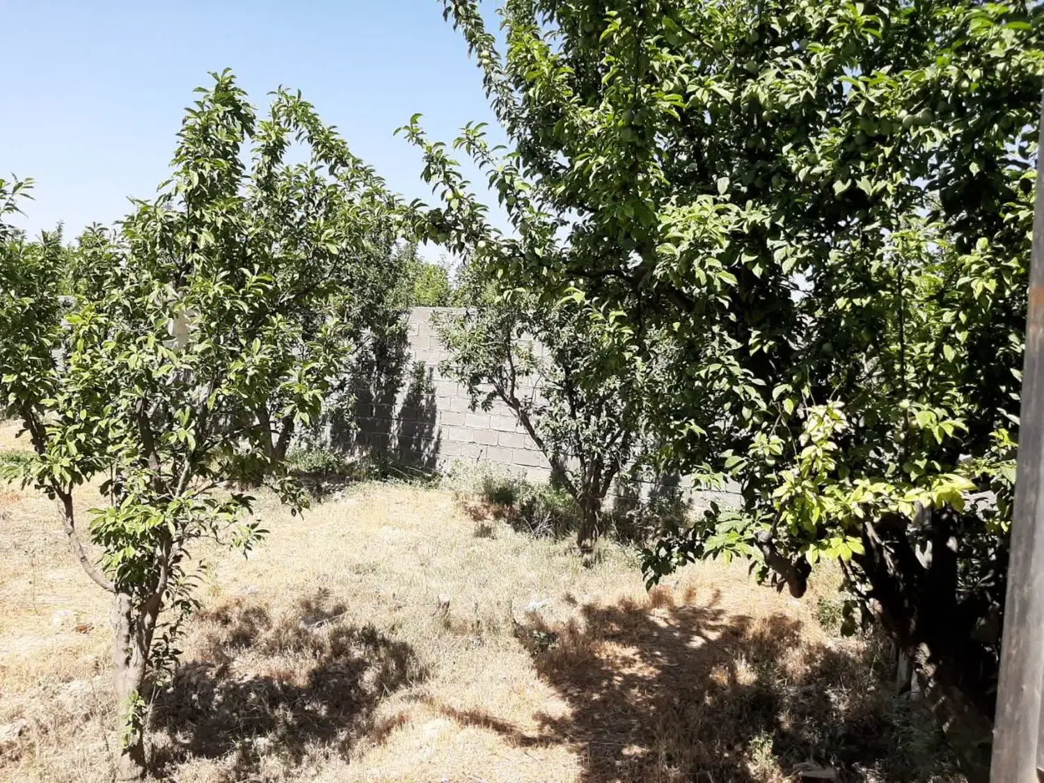 ۶۰۳ متر باغچه لشکراباد خیابان چمران چهار دیواری