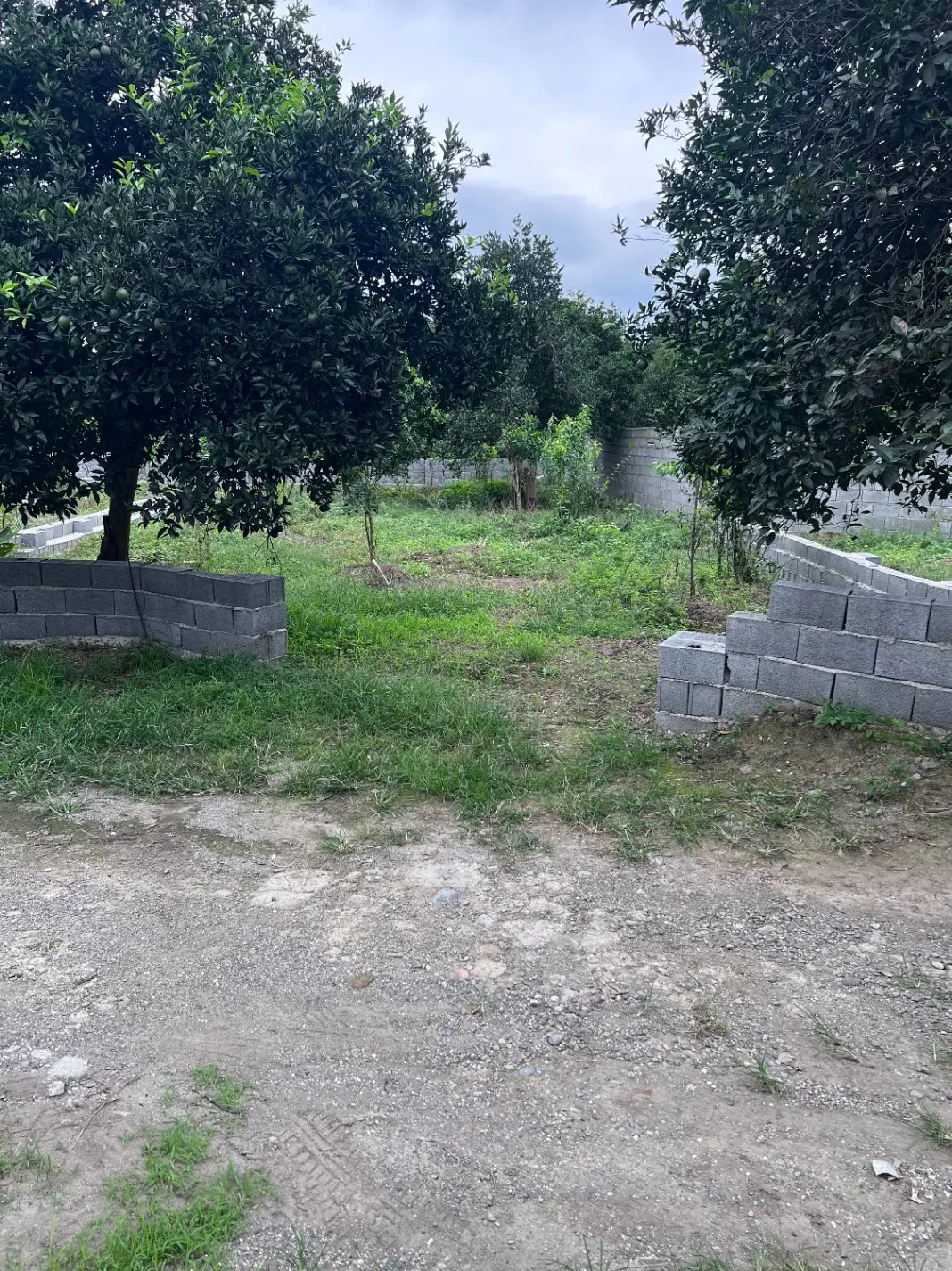 یک قطعه زمین