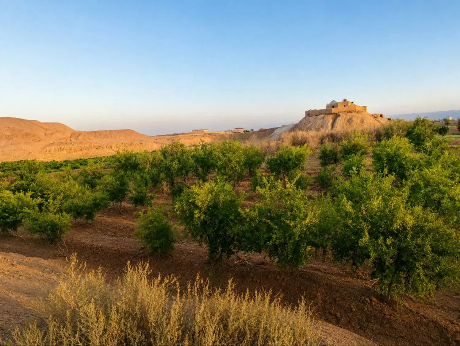 زمین باغی در سرچشمه ابارش