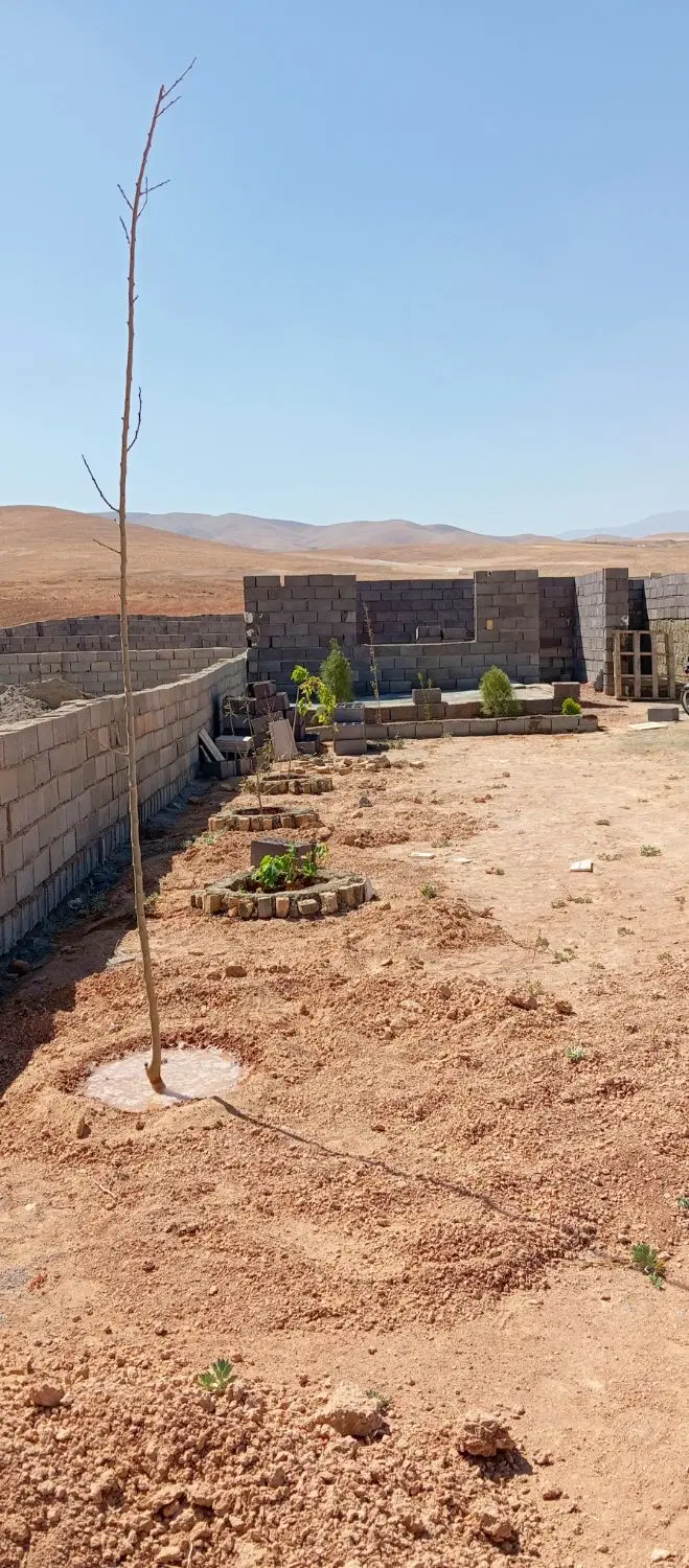 زمین باغی معاوضه