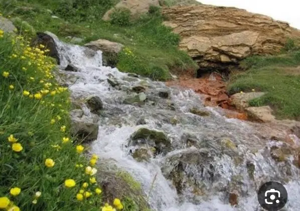 زمین سریشا پده