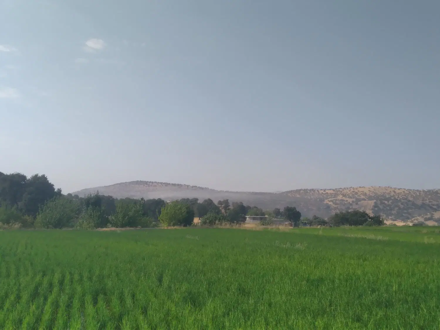 فروش زمین مسکونی واقع در نجف آباد